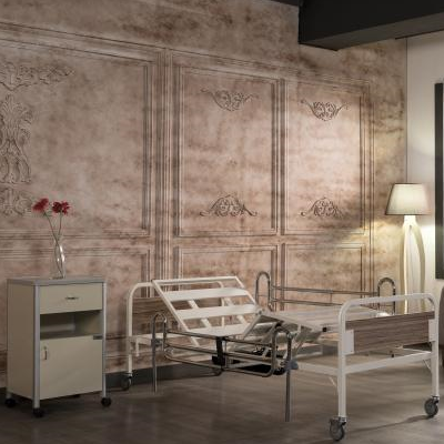 PAT SPITAL 2 MOTOARE DZ4077 FARA SALTEA – Turmed